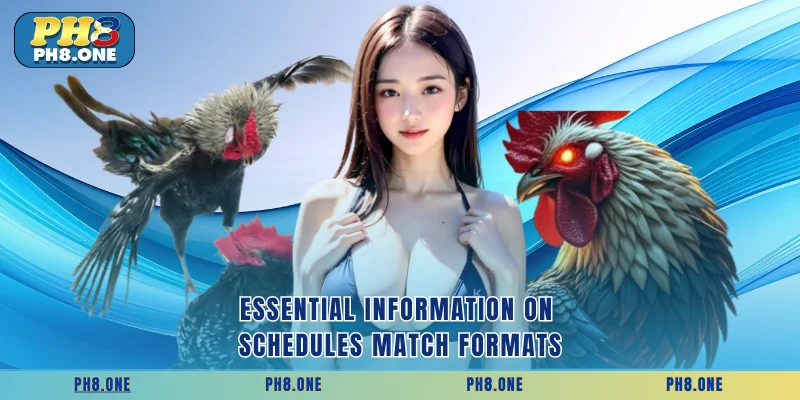 Essential information on schedules match formats