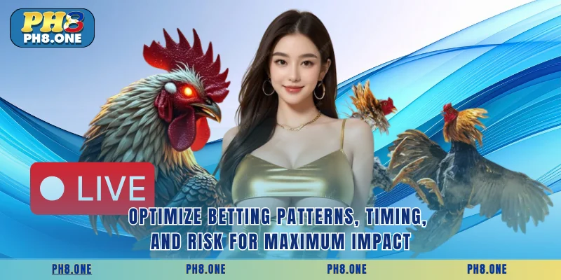 Optimize betting patterns, timing, and risk for maximum impact