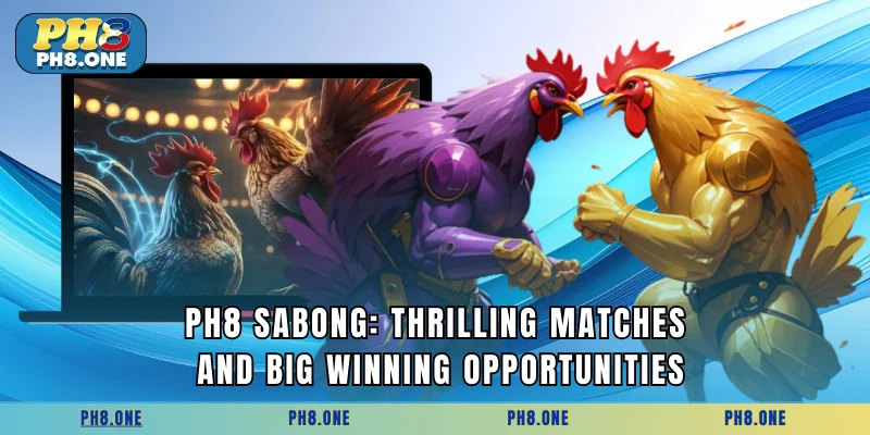 PH8 Sabong: Thrilling Matches and Big Winning Opportunities